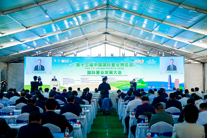 第十三届中国国际薯业博览会在山东滕州举办